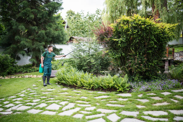 Best Residential Pest Control  in Valley, NE