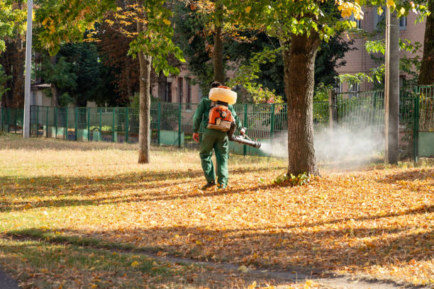 Best Commercial Pest Control Services  in Valley, NE